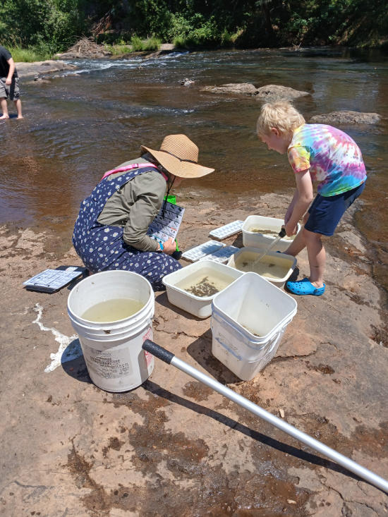 watershed council dip netting